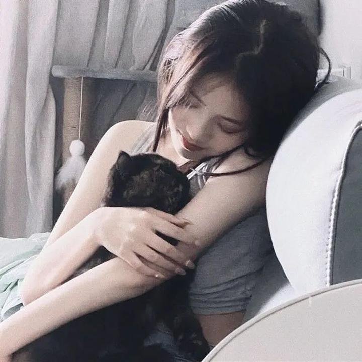少数意见