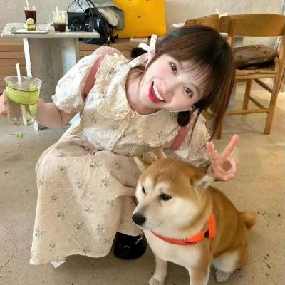 良医第四季
